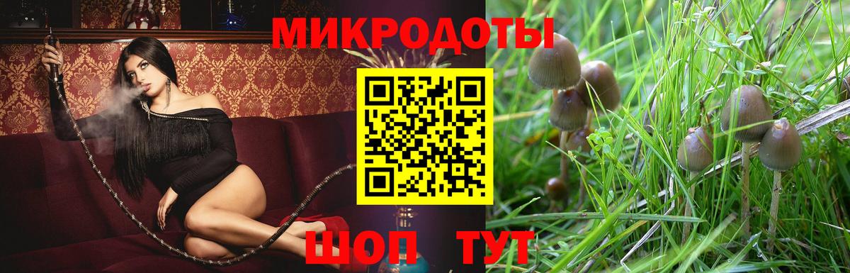 Видное  наркошоп  Галлюциногенные грибы ЛСД  Вход с VPN  Галлюциногенные грибы MAGIC MUSHROOMS 